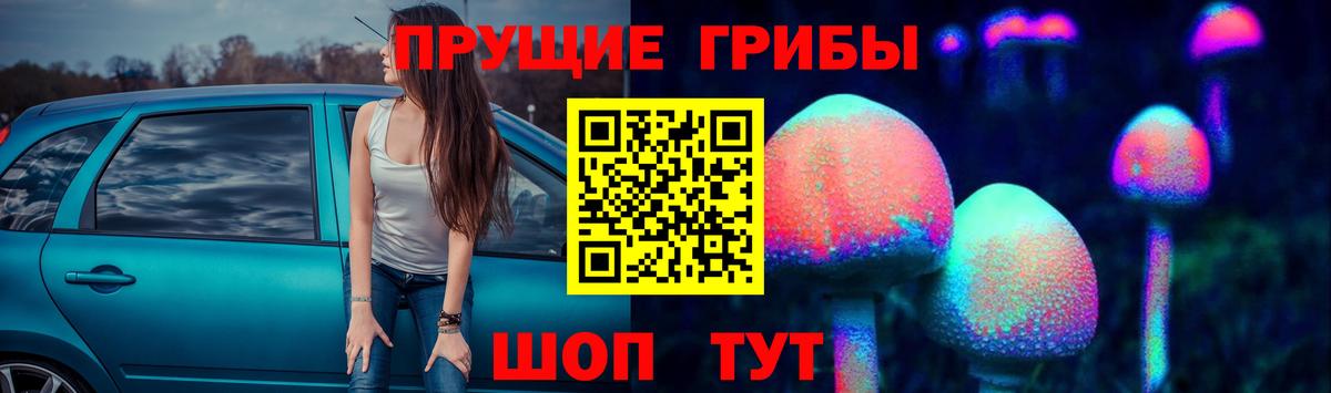 Петрозаводск  сколько стоит  Вход с VPN  Галлюциногенные грибы мицелий  Псилоцибиновые грибы ЛСД 